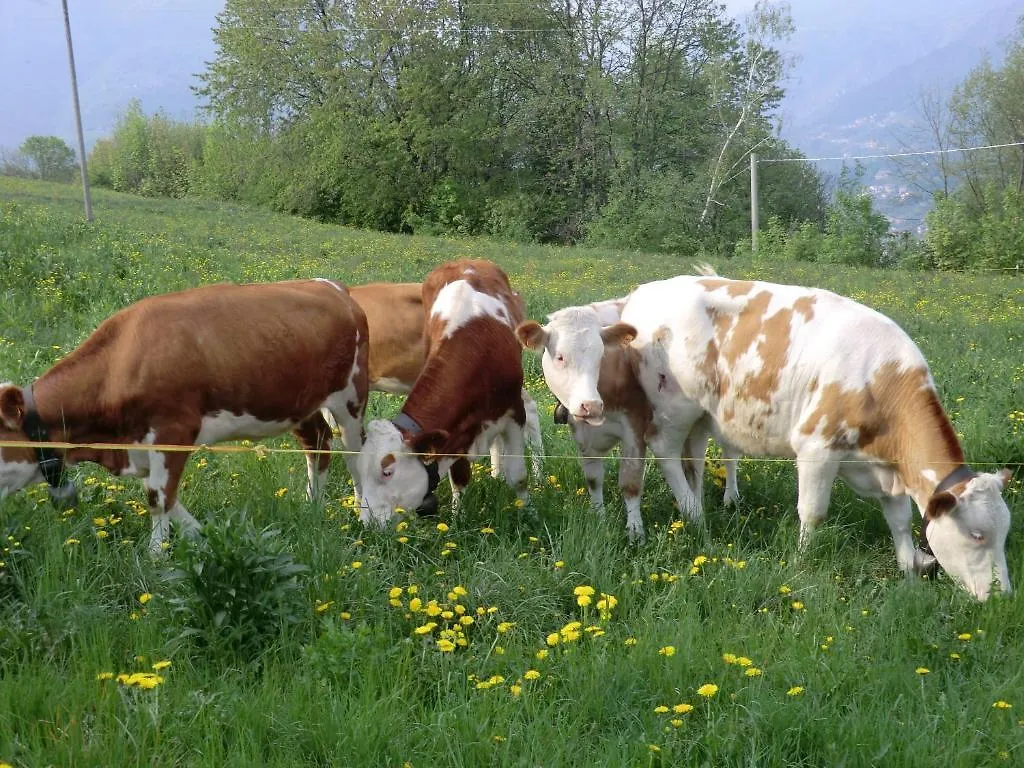 B&B La Casa Di Parpaet Zogno Farm stay