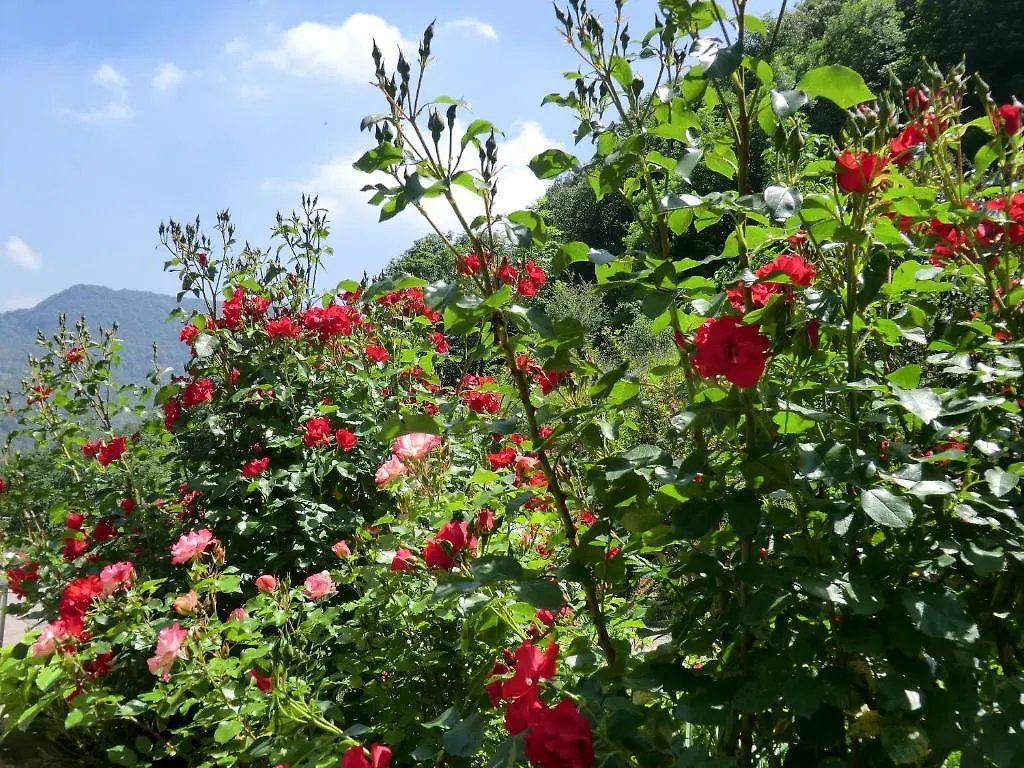 B&B La Casa Di Parpaet Zogno Italy
