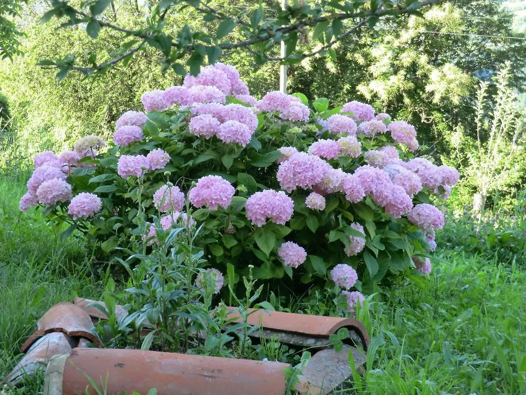 Farm stay B&B La Casa Di Parpaet Zogno